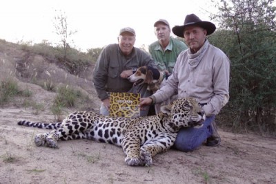 jaguar George Harms.jpg