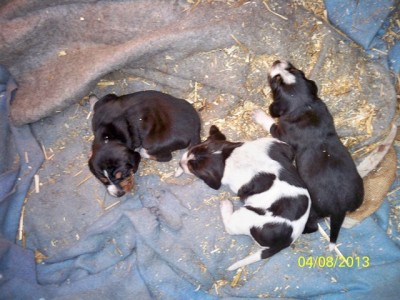 106_0727 [640x480].JPG