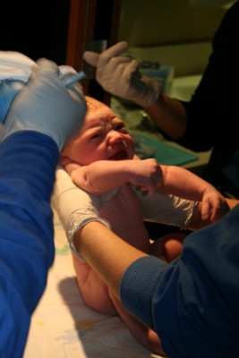 IMG_1810 [1280x768].JPG