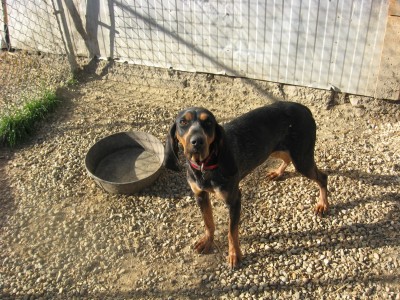 brooke 184 (Copy).JPG