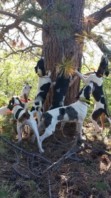 20130907_090255 (Copy).jpg