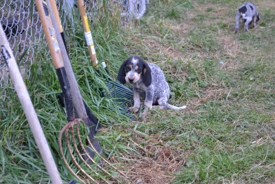 DSC_0023 (Copy) (4).JPG