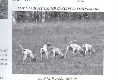 Royer-gascon saintongeois.jpg