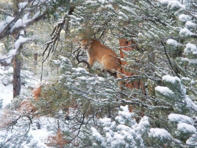 DSCN1451 (Large).JPG