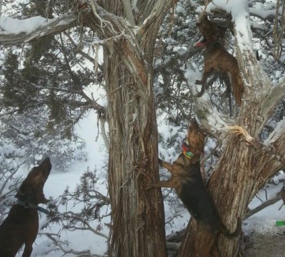 20131204_104738_0001 (1).jpg