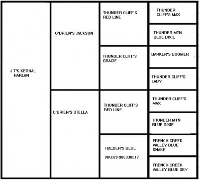 JTS KERNAL HARLAN2.jpg