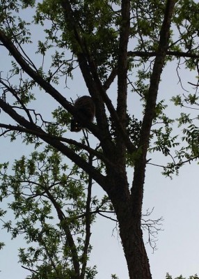 K640_2014-03-24 11.10.29.JPG