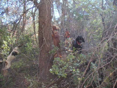 PICT0006.JPG