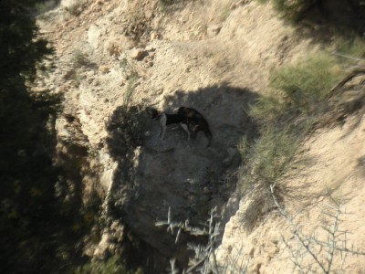 PICT0001.JPG