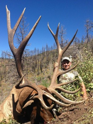 GT's bull that won him the quad!