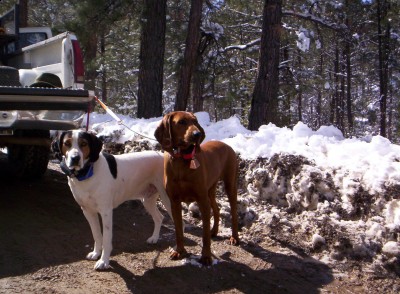 101_2490 (LAdyBEanie).jpg