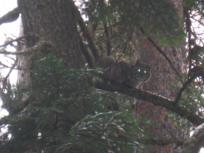 Dec. 16 Camera Download 006.JPG