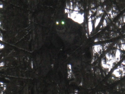 Dec. 16 Camera Download 010.JPG