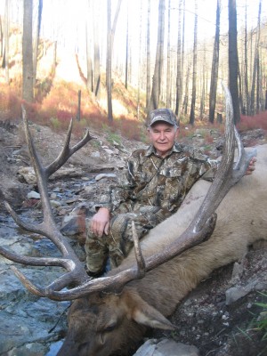 valetine bull 2013 011.JPG