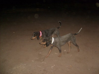 9-19-2009-download 246.JPG