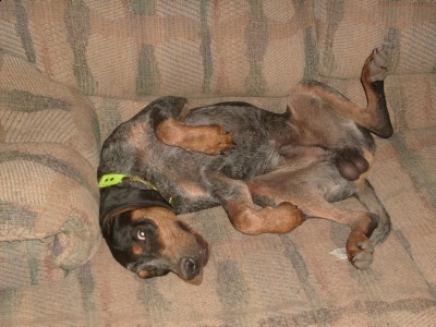 9-19-2009-download 412.JPG