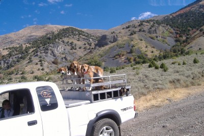 dog training october 013.jpg