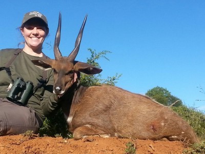 JBushbuck.jpg (130.41 KiB) Viewed 5126 times JBushbuck.jpg
