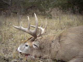 52 vaughn and Nebraska 071 [320x200].jpg