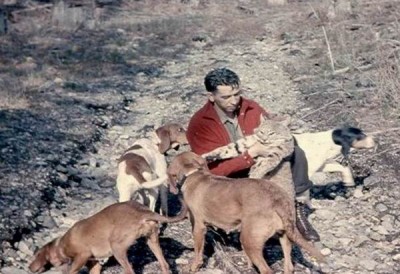 Resize of Nelly Pups B.jpg