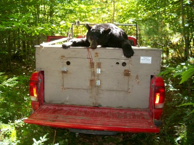 Pictures 8-30 178.jpg