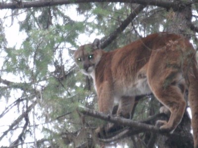 haileigh and cat pics 153.jpg