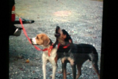 Photo on 10-17-15 at 3.39 AM.jpg