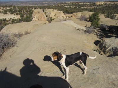 Topper Agains Nash.jpg