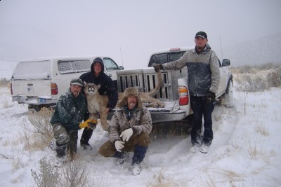 lion hunting, you can ues this style for side by side or on front or back of your atv