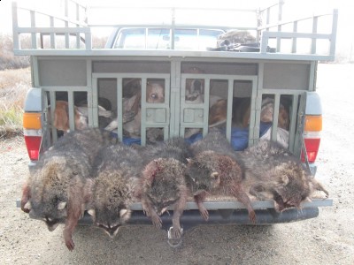 Copy of Picture 002.jpg