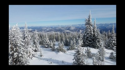 Some dense but mostly open timber