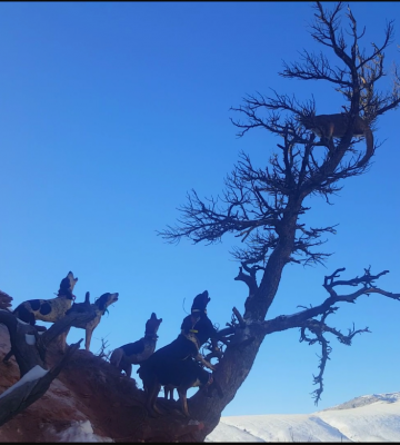 2016-01-09 18.03.14.png