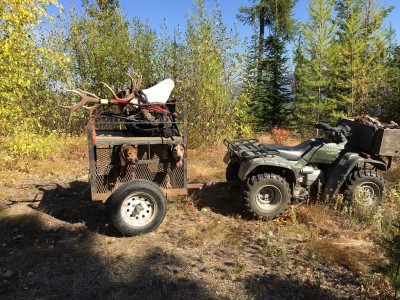 Resized dog w. elk.jpg
