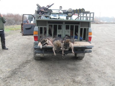 Copy of Picture 005.jpg