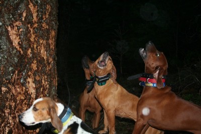 Hunting2010 038 [Desktop Resolution].JPG