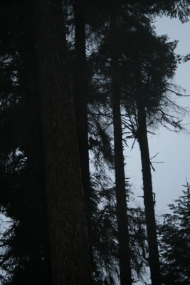 Hunting2010 047 [Desktop Resolution].JPG