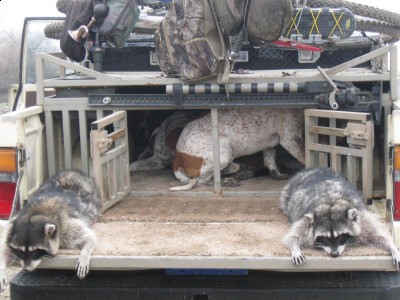 Copy of Picture 008.jpg