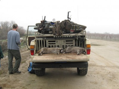 Copy of Picture 014.jpg