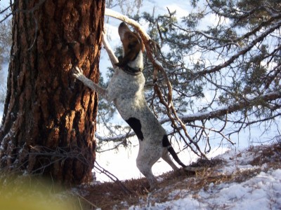 100_0326 [Desktop Resolution].JPG