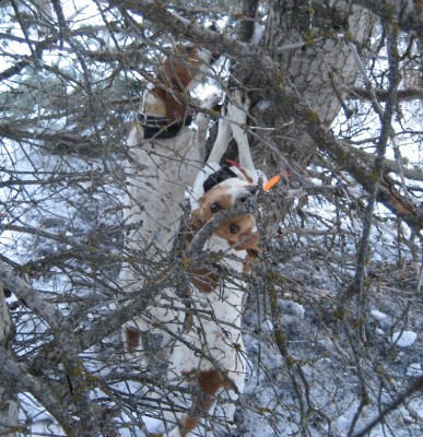 Girly checkin out Dad.JPG