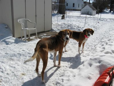 Picture 036 (Medium).jpg