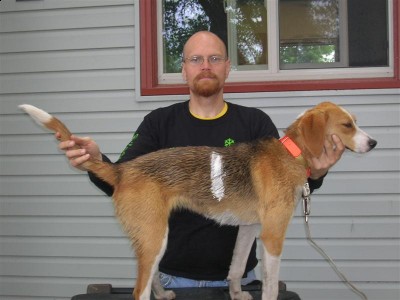 Picture 144 (Medium).jpg