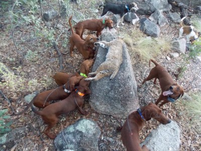 DSCN4450 [Desktop Resolution].JPG