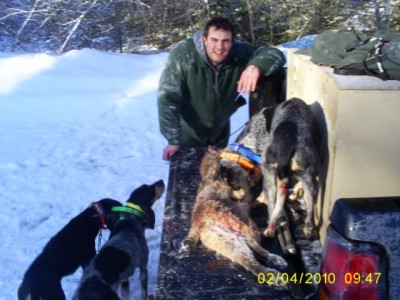 feb 4th 2010 cat hunt 003 [640x480].jpg
