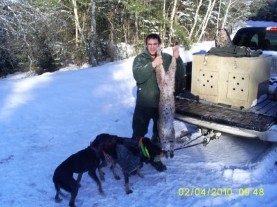 feb 4th 2010 cat hunt 004 [640x480].jpg