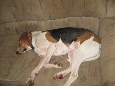 Copy of Picture 074.jpg