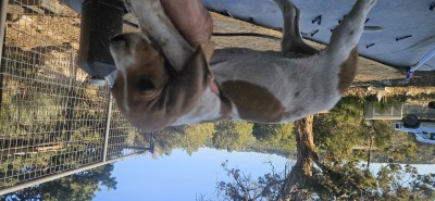 20260520_184852.jpg