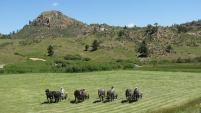 Mowing Hay [640x480].JPG