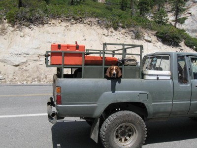 Copy of Picture 081.jpg