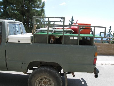 Copy of Picture 082.jpg